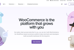 woocommerce